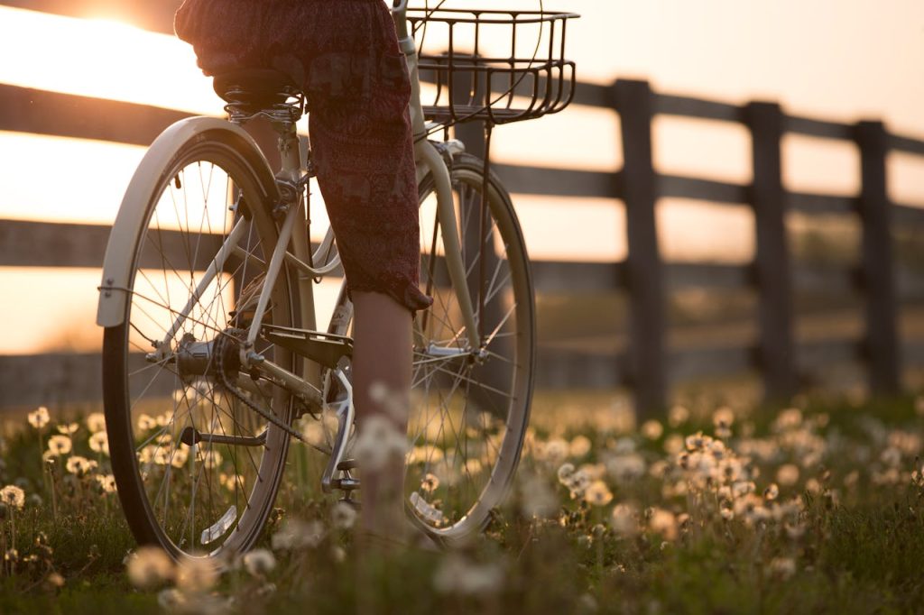 Fietsendragers: Kiezen, monteren en veilig fietsen transporteren